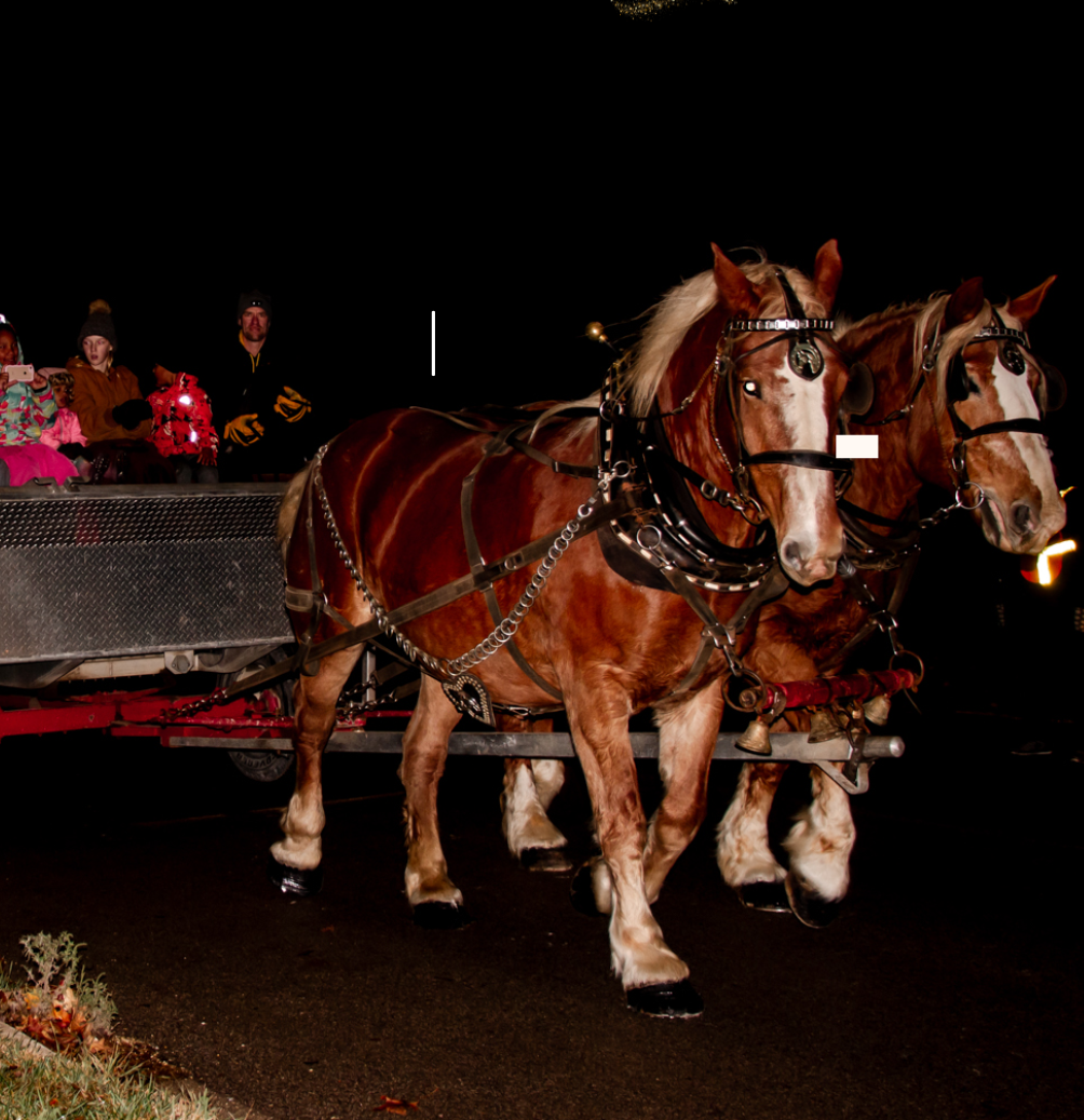 Clifford Connects to host Winter Magic Market