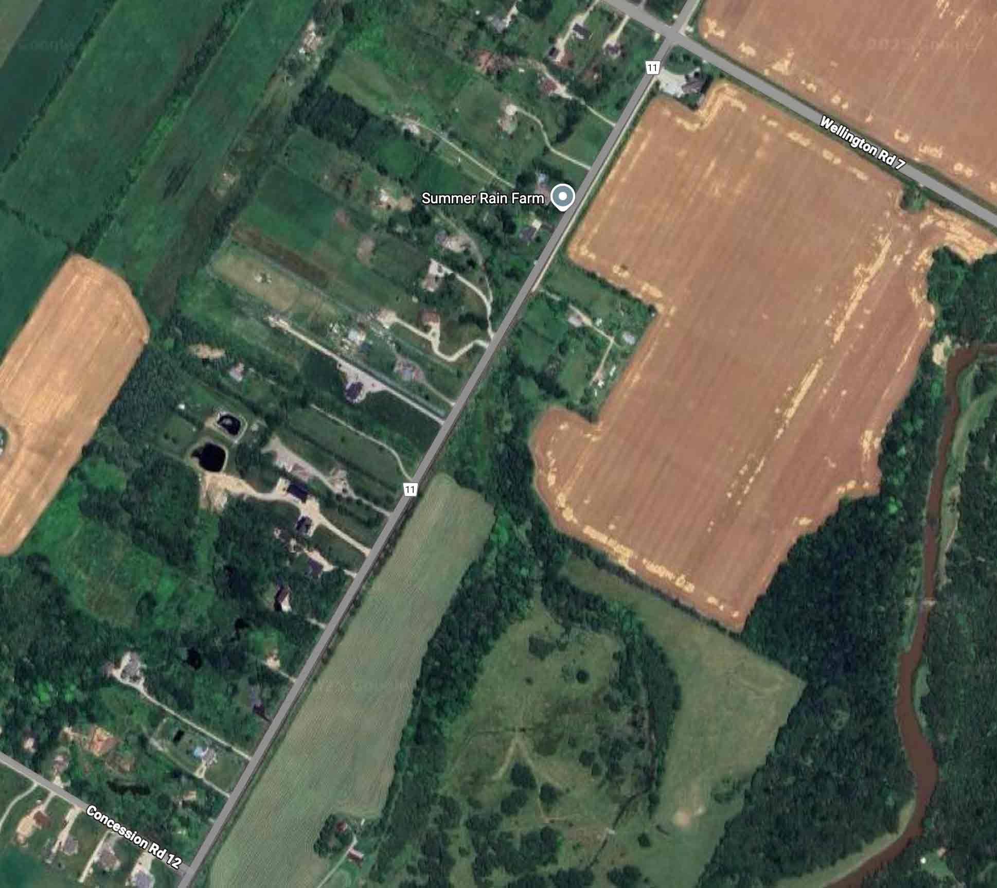 Mapleton council considering stricter gun rules