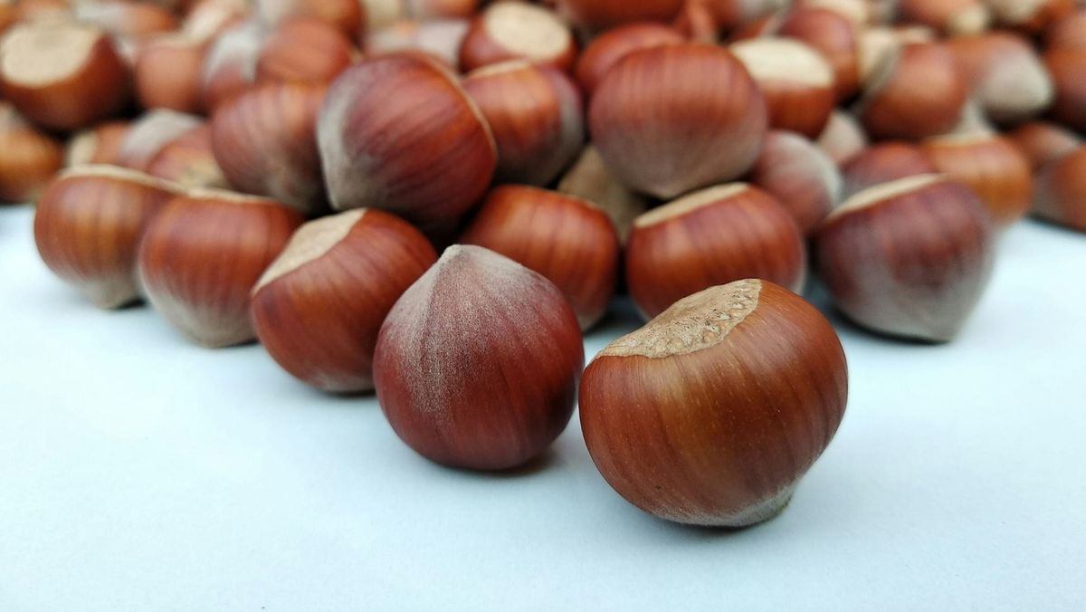 What Is Cadmium — And Why Is It In Your Hazelnuts?