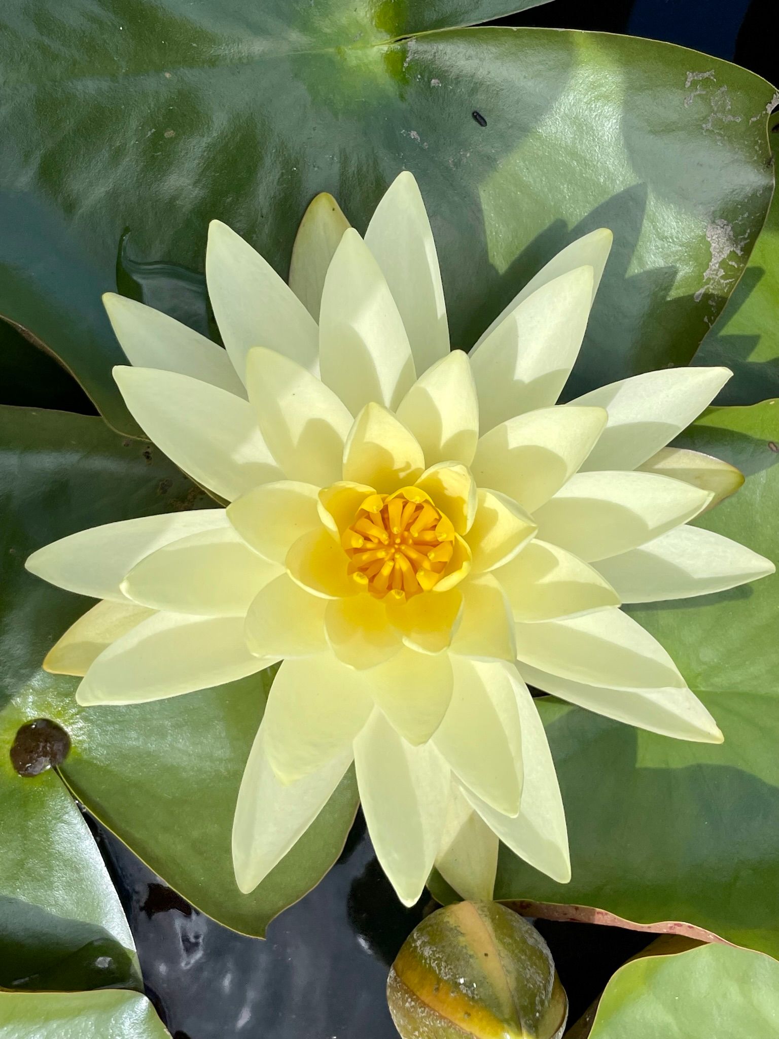 Beauty can make you soft and pliable.&nbsp;