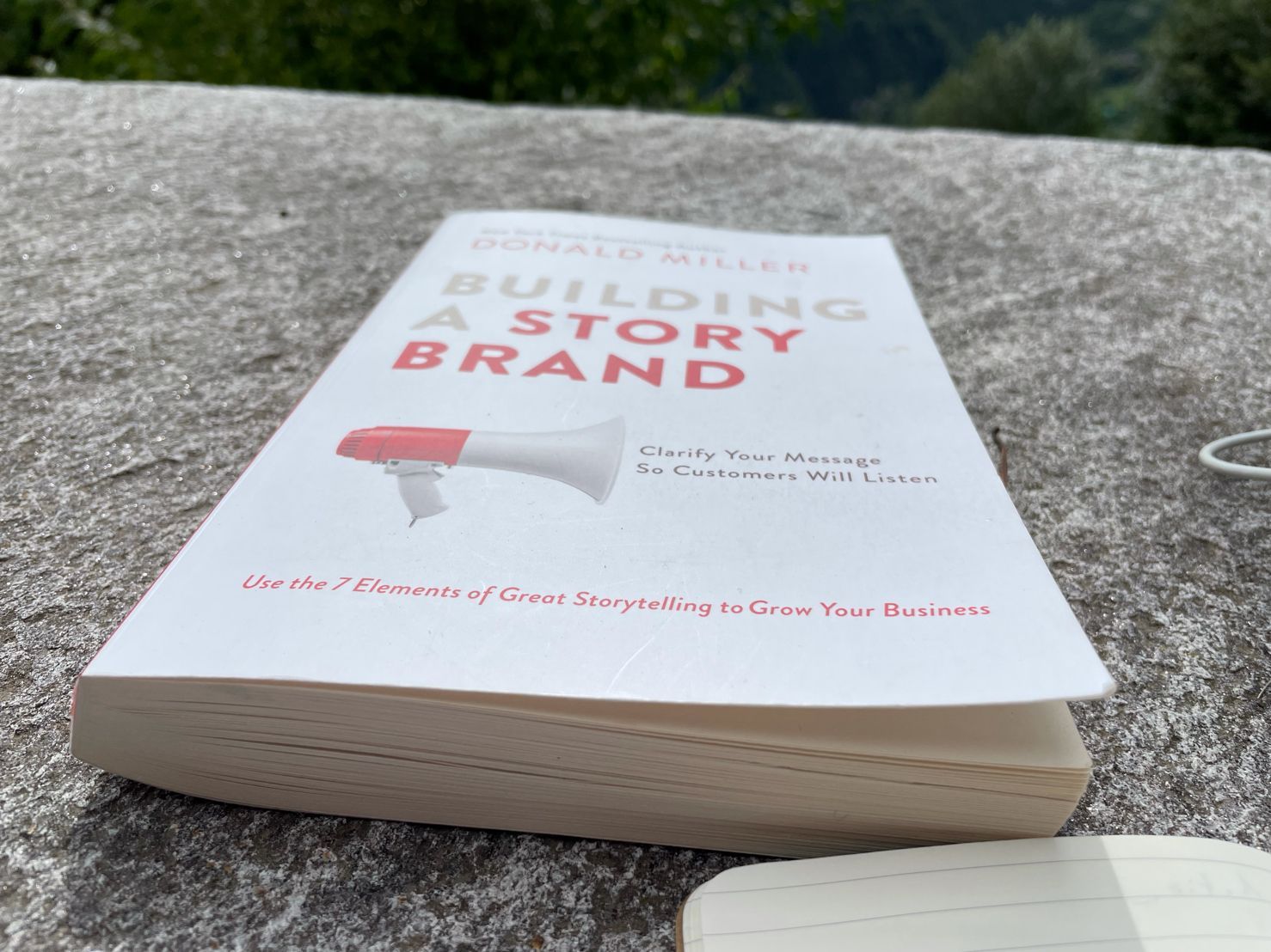Building a StoryBrand, use the 7 elements of great storytelling to grow your business.