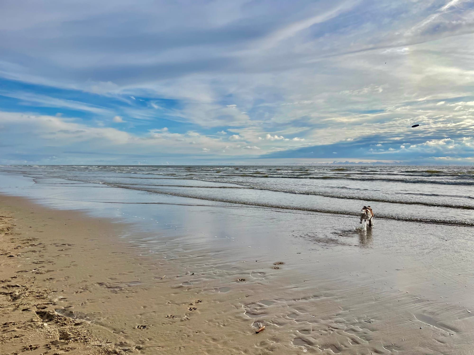 Speech recognition, Speech-to-Text, Dictation, and Transcription: What’s the Difference?