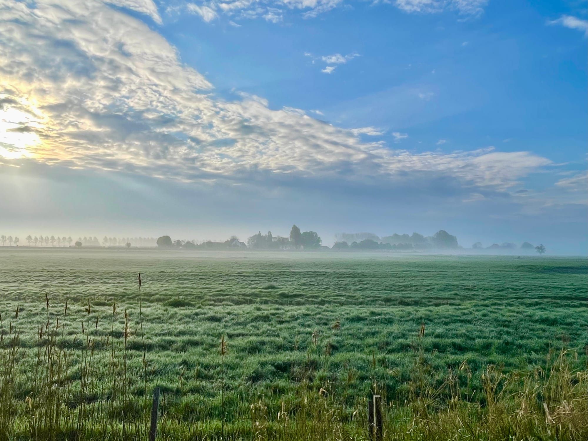 Not Doing Is Also an Act