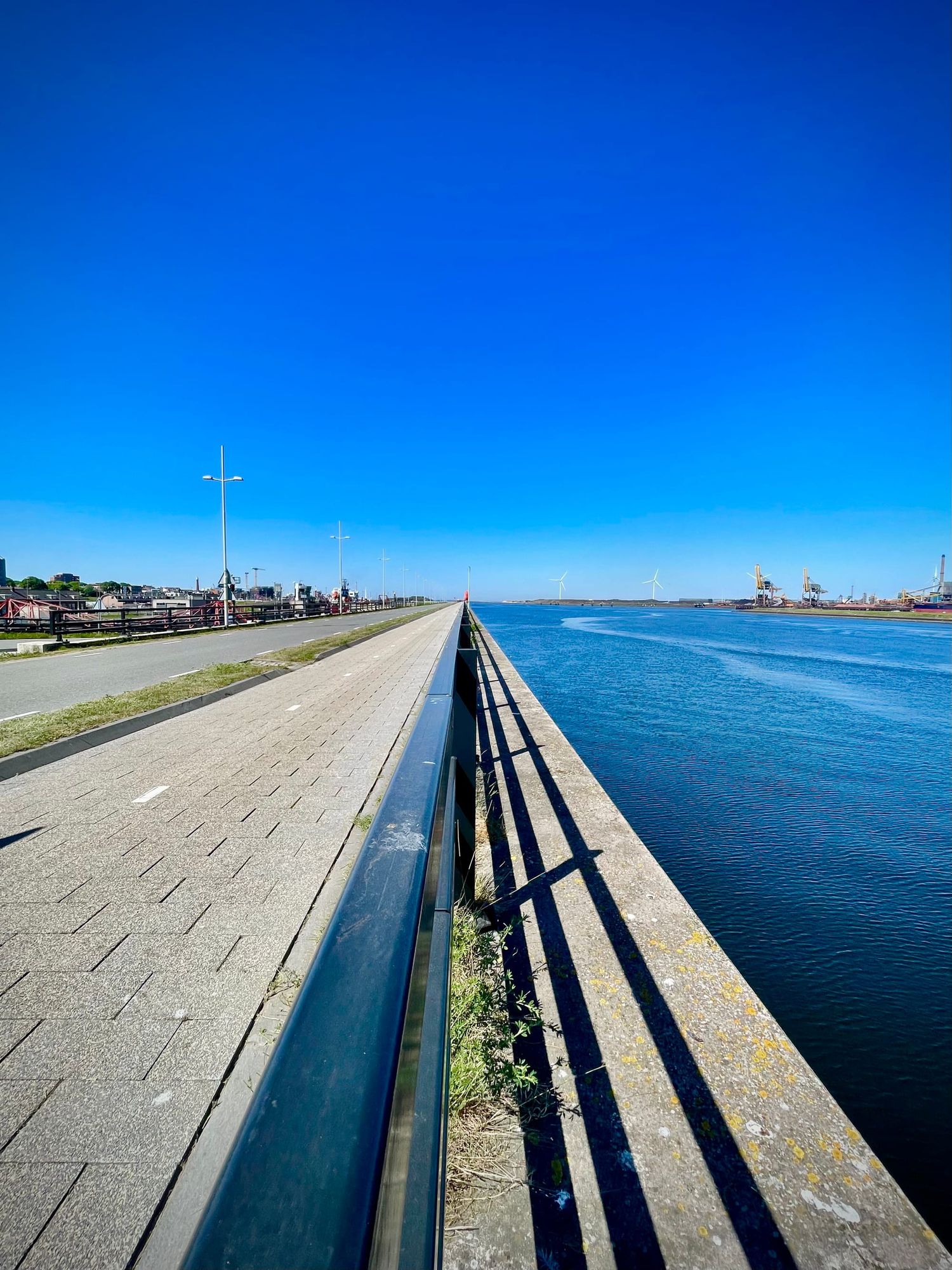 Will I Manage Agents as I Would Employees?