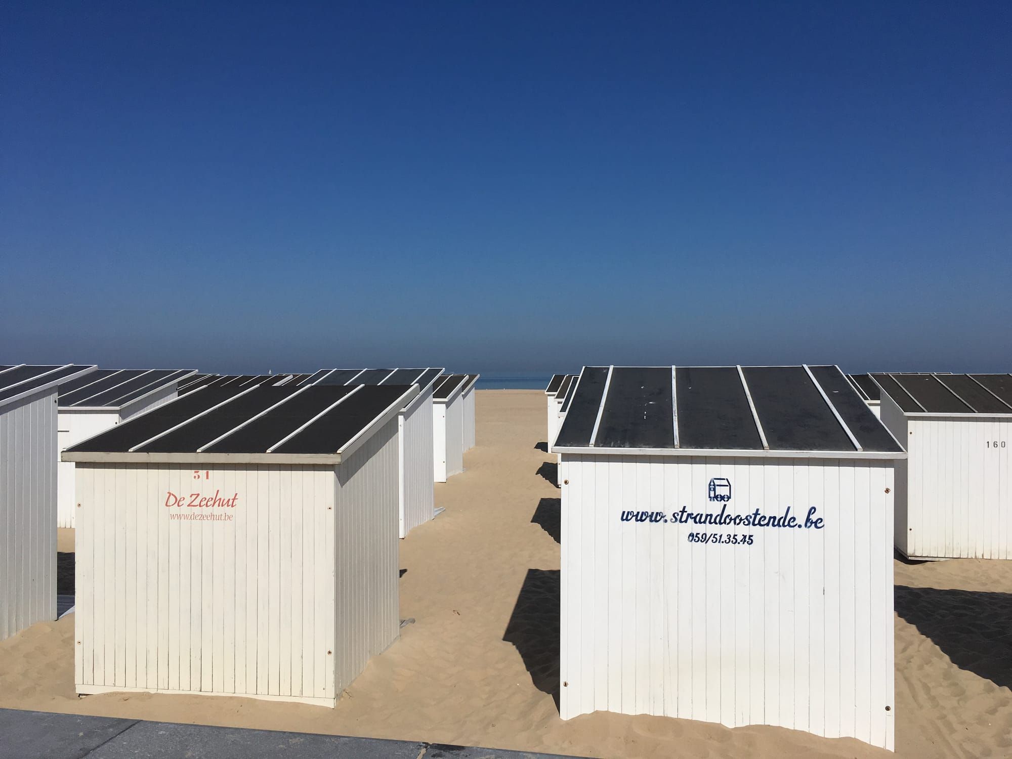 Intentional Power: Europe Between Negawatts and Realpolitik