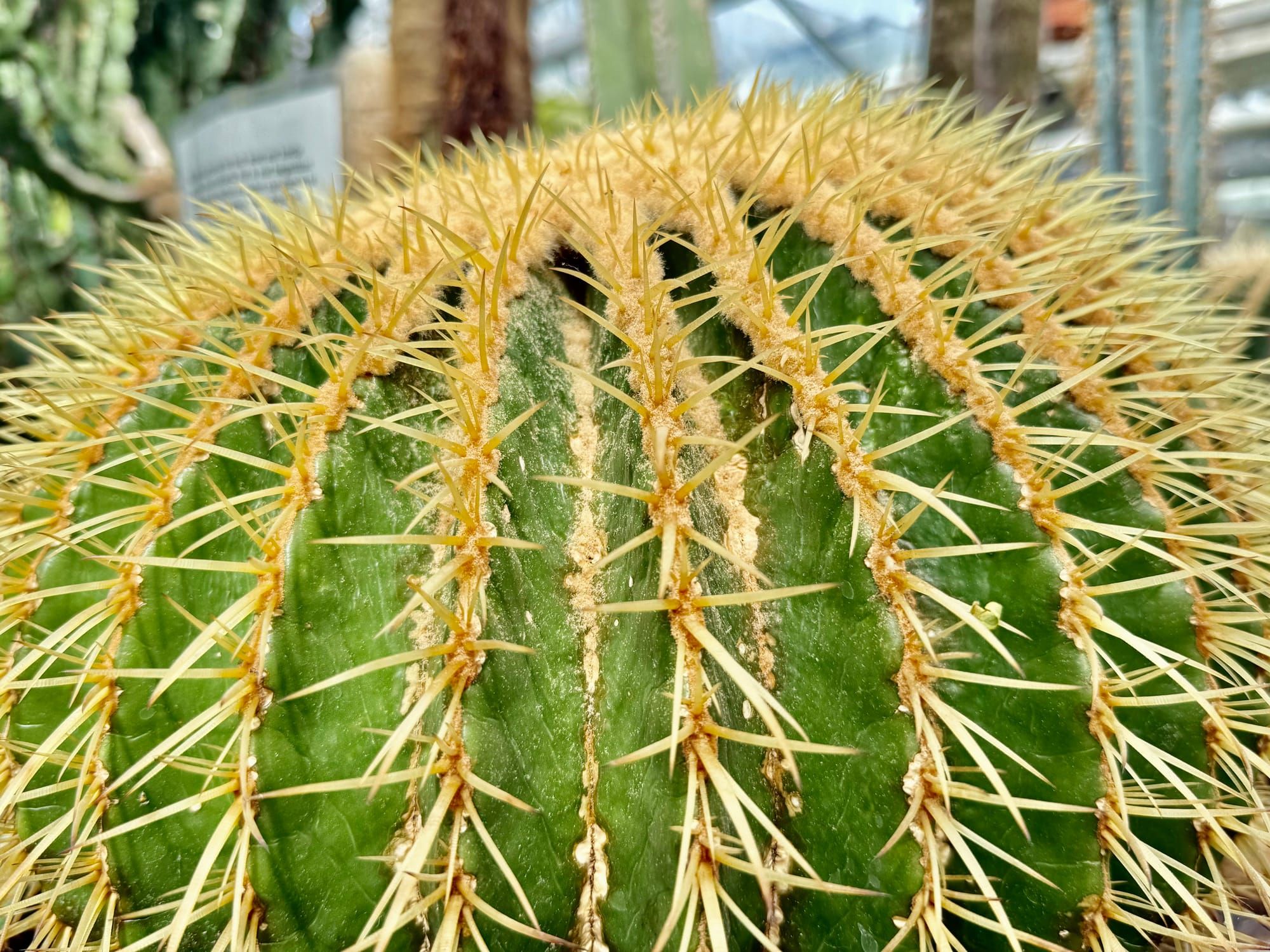 AI Fine-Tuning for Non-Engineers