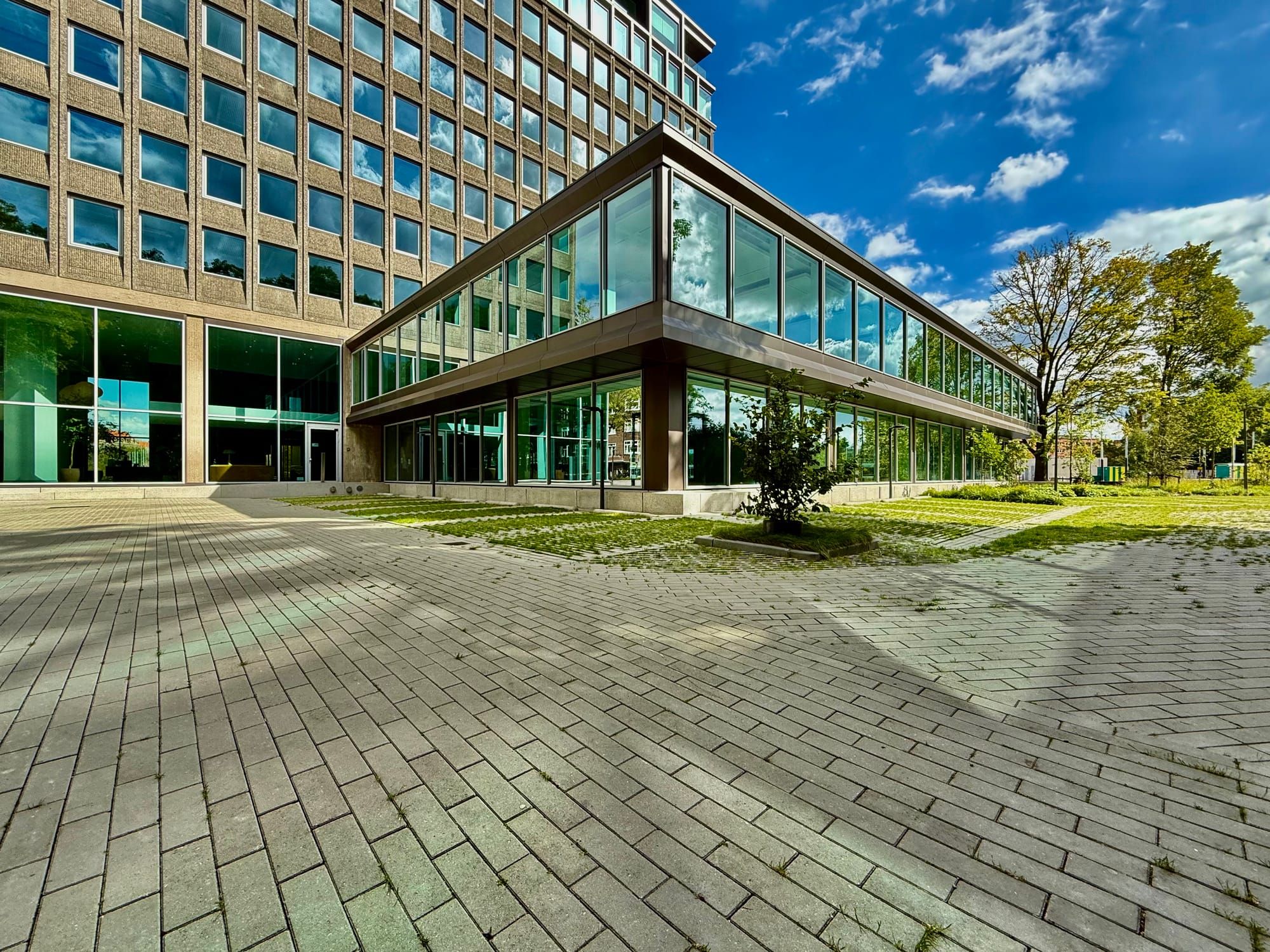 AI’s Impact on Work, People, and Labour Law