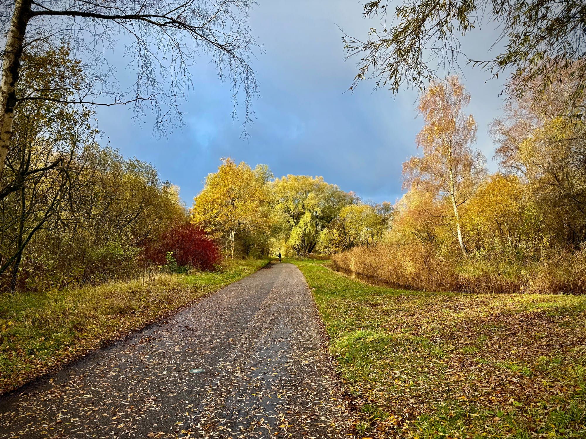 What llms.txt can do for your website