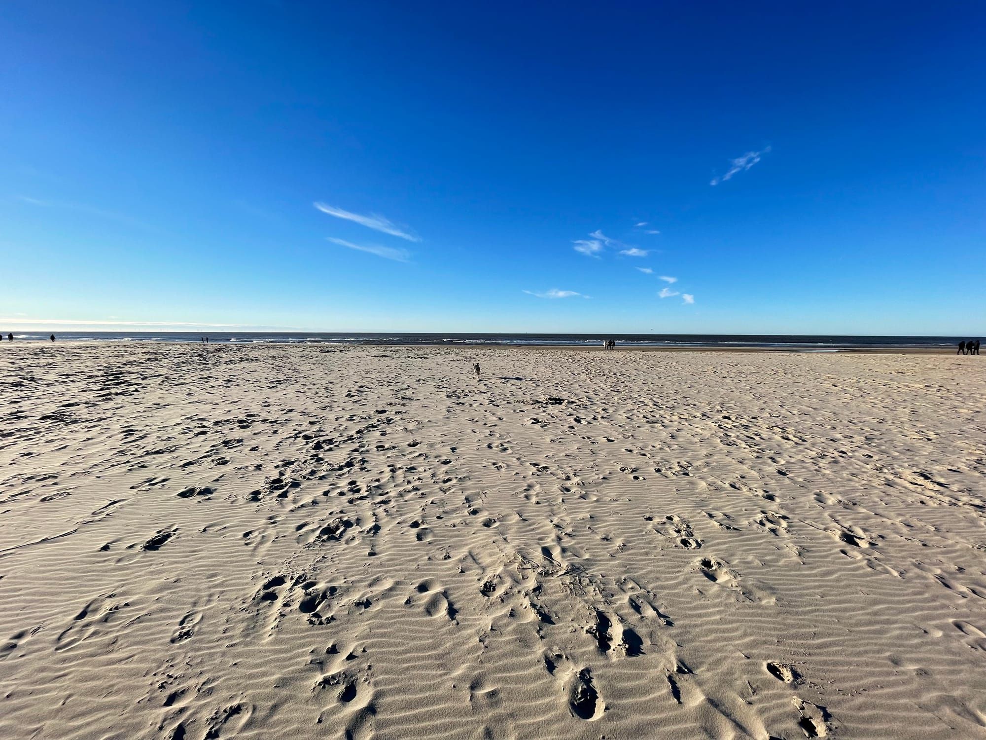 The Real Cost of Leaving Microsoft 365