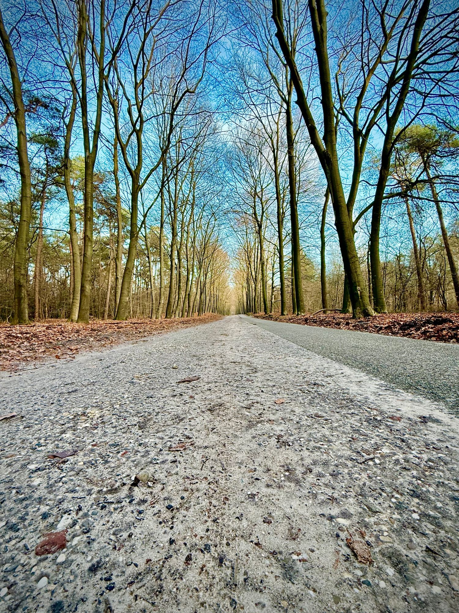 The Hot Potato of Compliance