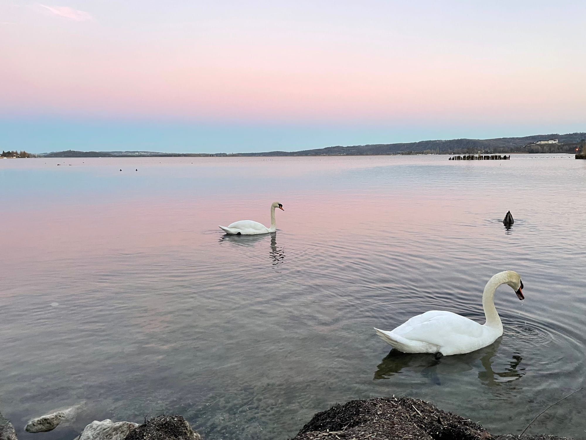 Colour, systems, and the moment it clicked