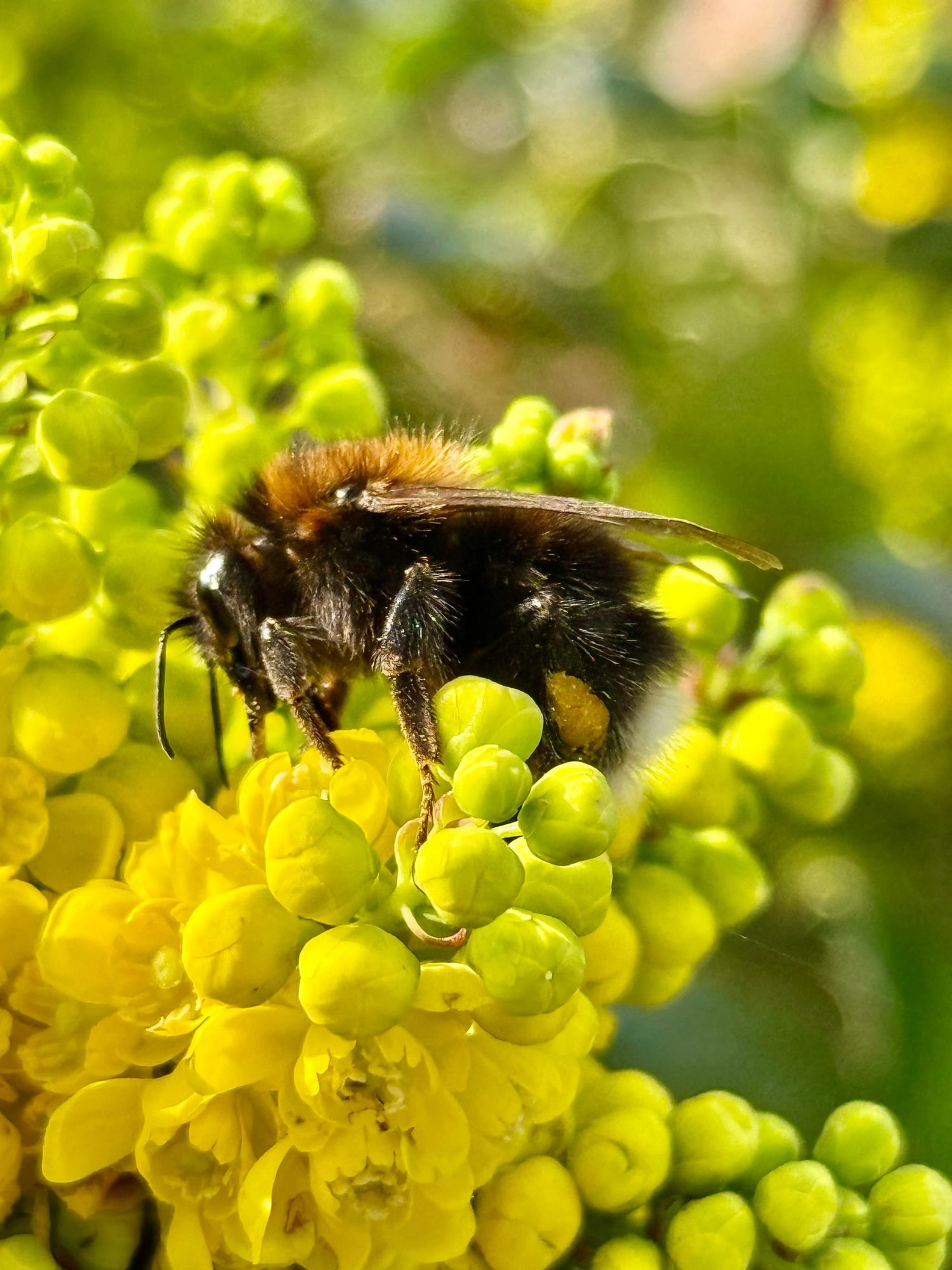 When AI Moves Into Your Working Environment