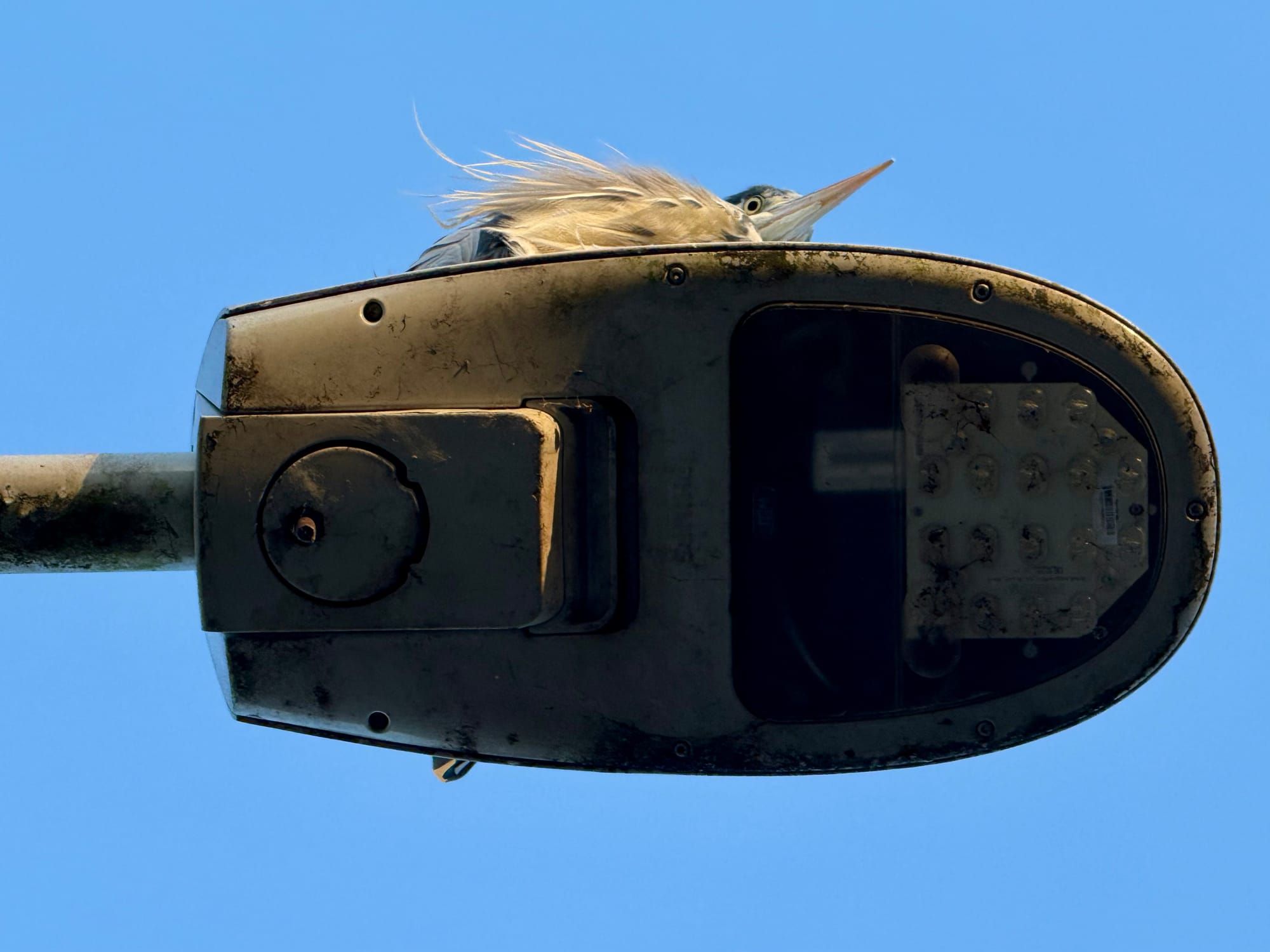 Built in, not bolted on