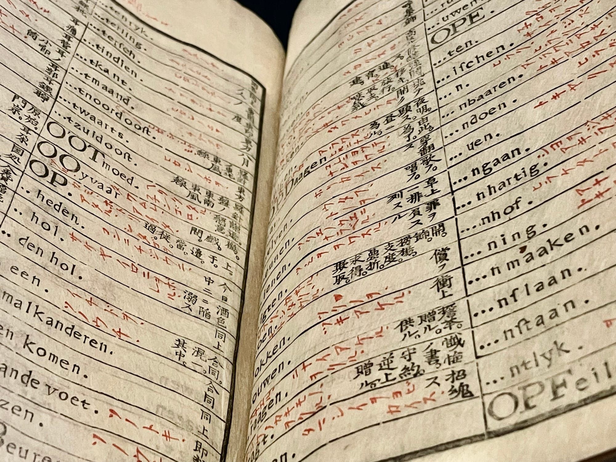 Bildung and the Function Problem