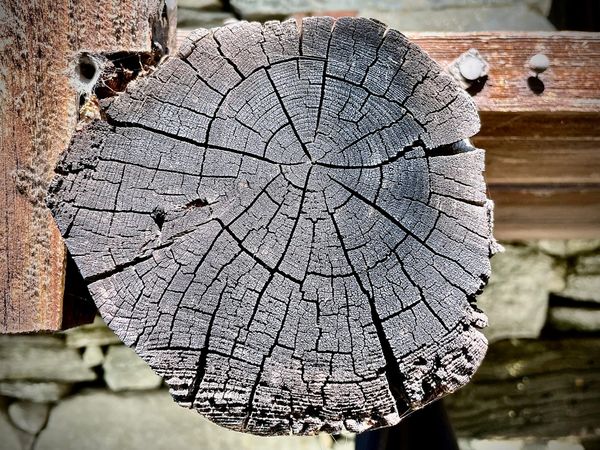 Understanding the Terms: Web, Online, Digital, and Cyber