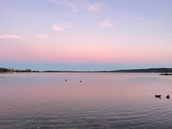 Why Can't We Transcribe Phone Calls in the EU?