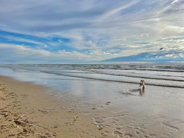 Speech recognition, Speech-to-Text, Dictation, and Transcription: What’s the Difference?