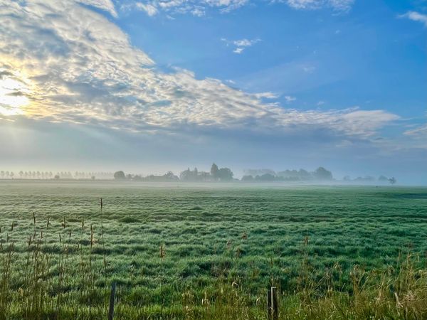 Not Doing Is Also an Act