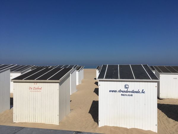 Intentional Power: Europe Between Negawatts and Realpolitik