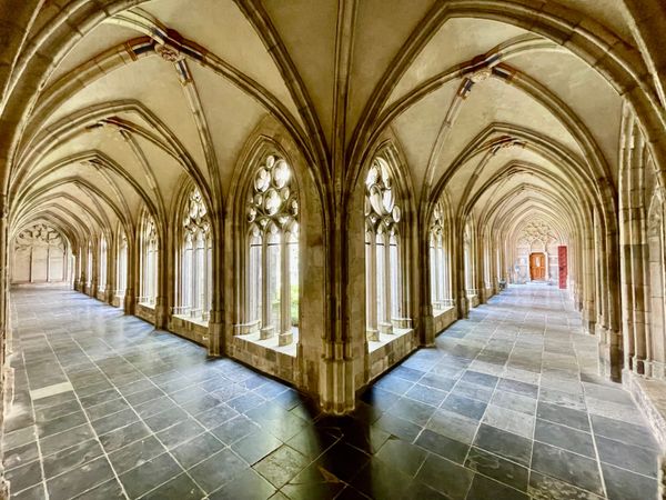 Learning to Work with the EU AI Act