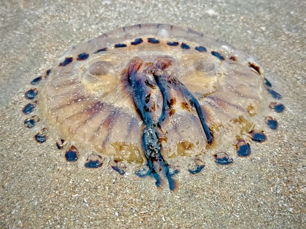 When to Structure, When to Listen