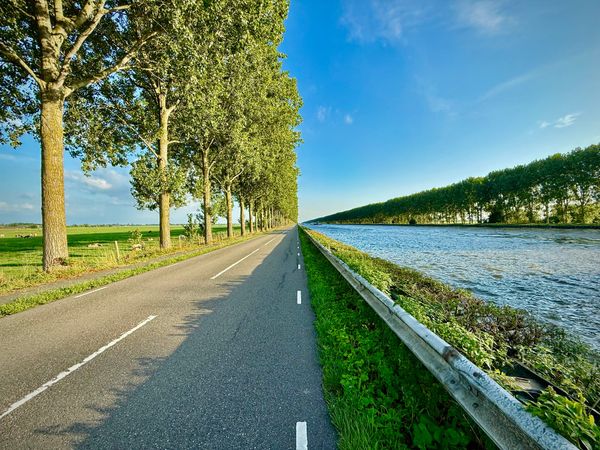 Europe's DSA and the New Contours of Online Freedom