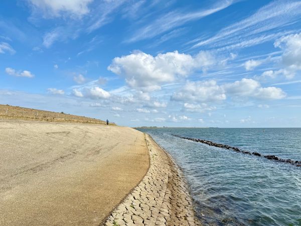 Streams and Archives: Two Ways of Living with Our Digital Data