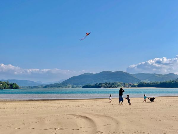 From Sand to Software: A Whistle-Stop Tour of the AI Value Chain