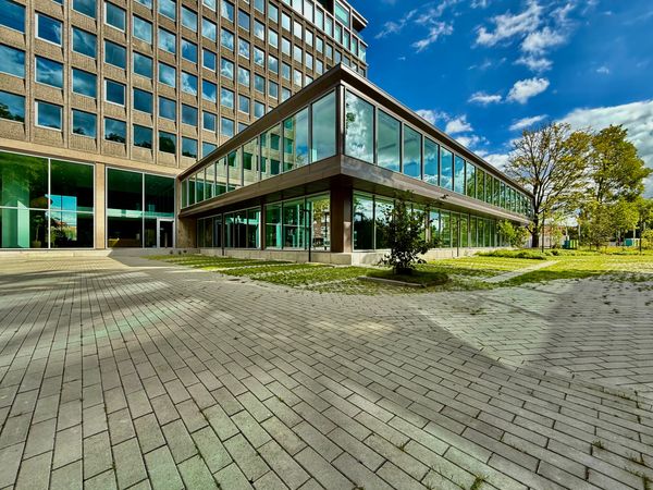 AI’s Impact on Work, People, and Labour Law