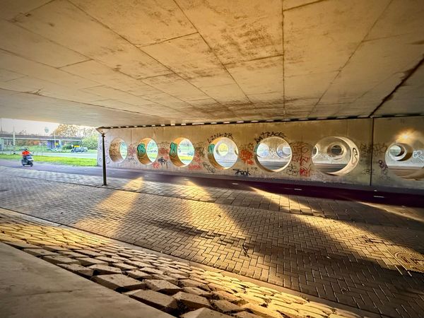 Reskilling the Mind: Europe’s Next Transition