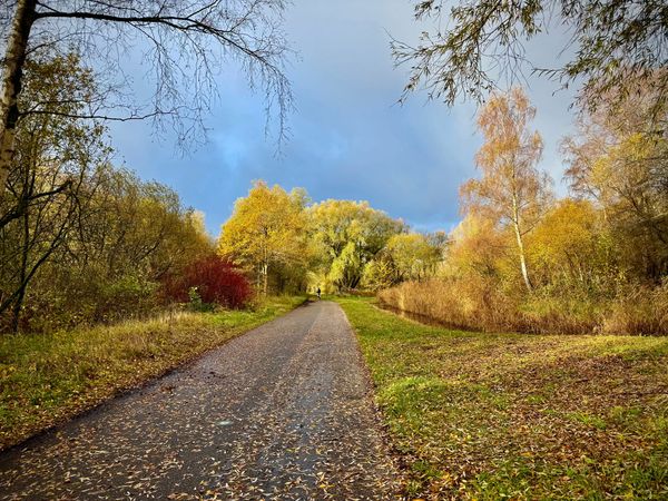 What llms.txt can do for your website