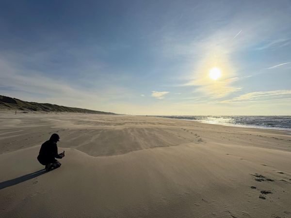 The Workspace Advantage: Google’s Quiet Lead in the AI Shift