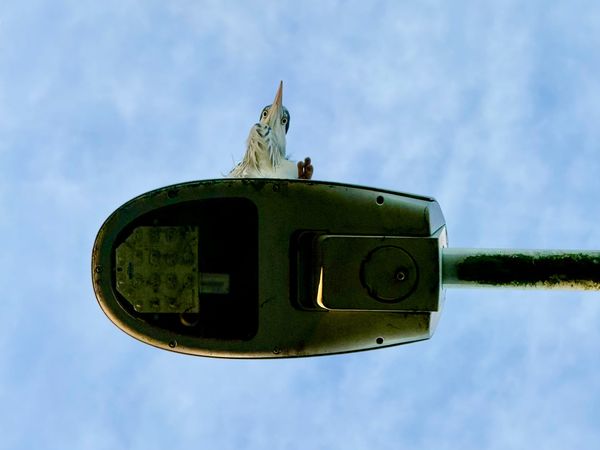 Qivalis, a New Euro Stablecoin