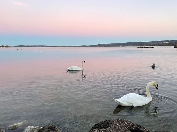 Colour, systems, and the moment it clicked