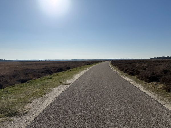 A Wider Frame: Apple’s Camera Features in Practice