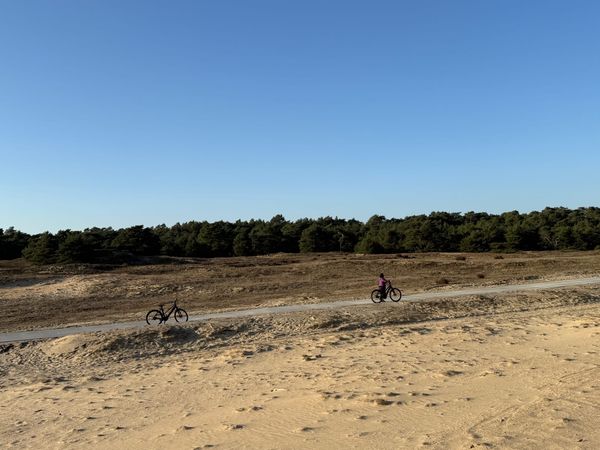 The Delegation Problem of the Internet