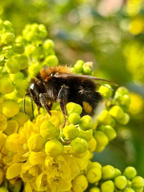 When AI Moves Into Your Working Environment