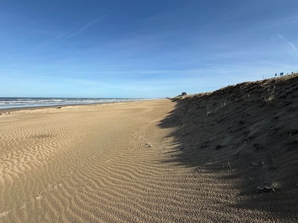 Running Gemma 4 on Your iPhone