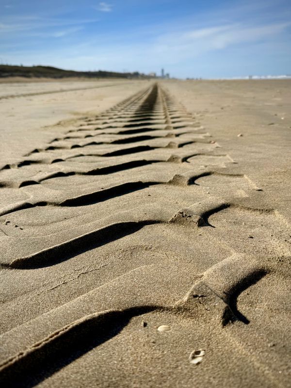 The Neural Engine Does Not Run Your LLM