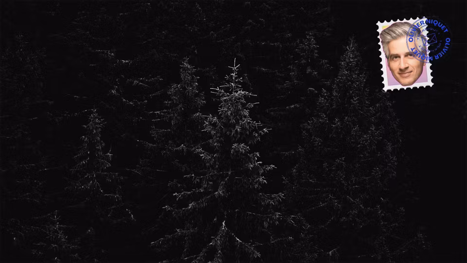 On se fait passer un sapin Image principale