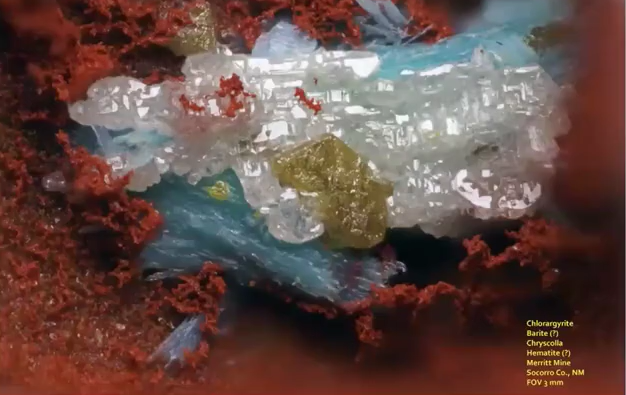 A close up of a blue and white object

AI-generated content may be incorrect.