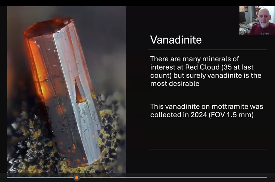 A close up of a stone

AI-generated content may be incorrect.