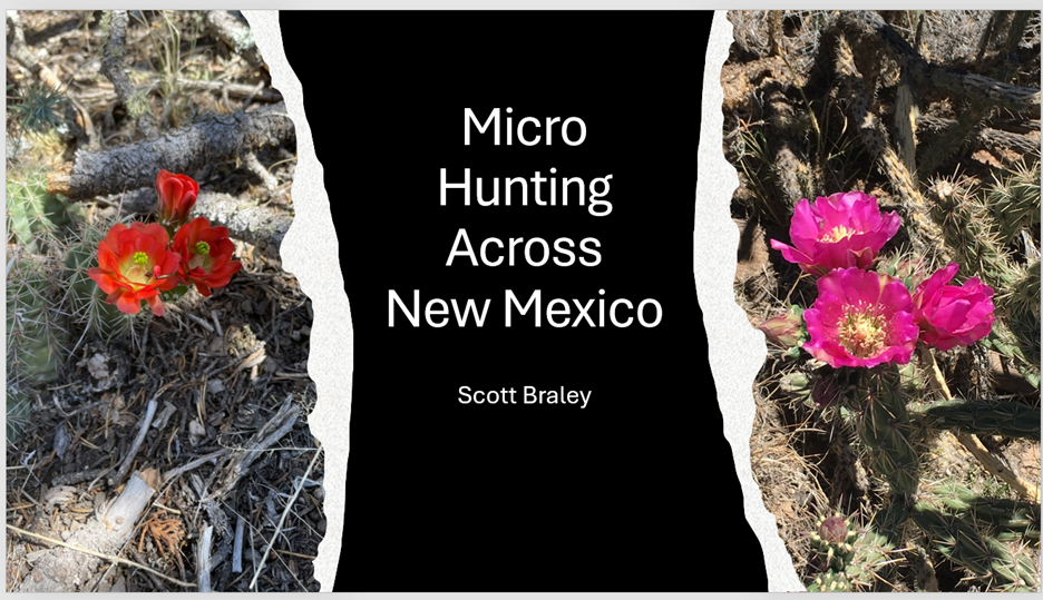 A collage of flowers

AI-generated content may be incorrect.