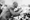 Eugene Debs—the socialist who won a million votes
