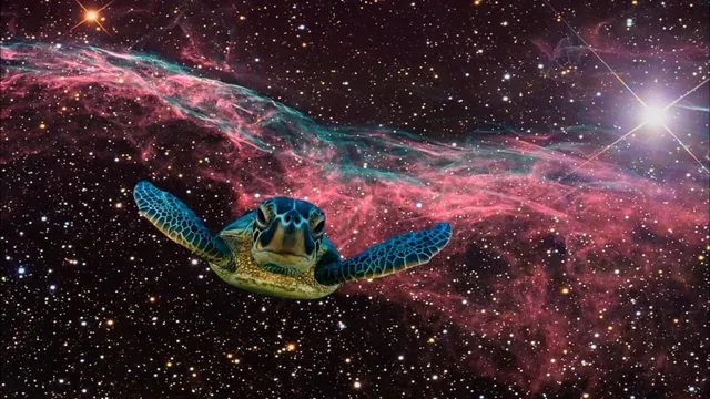 Applied Case: The Simulation Theory
