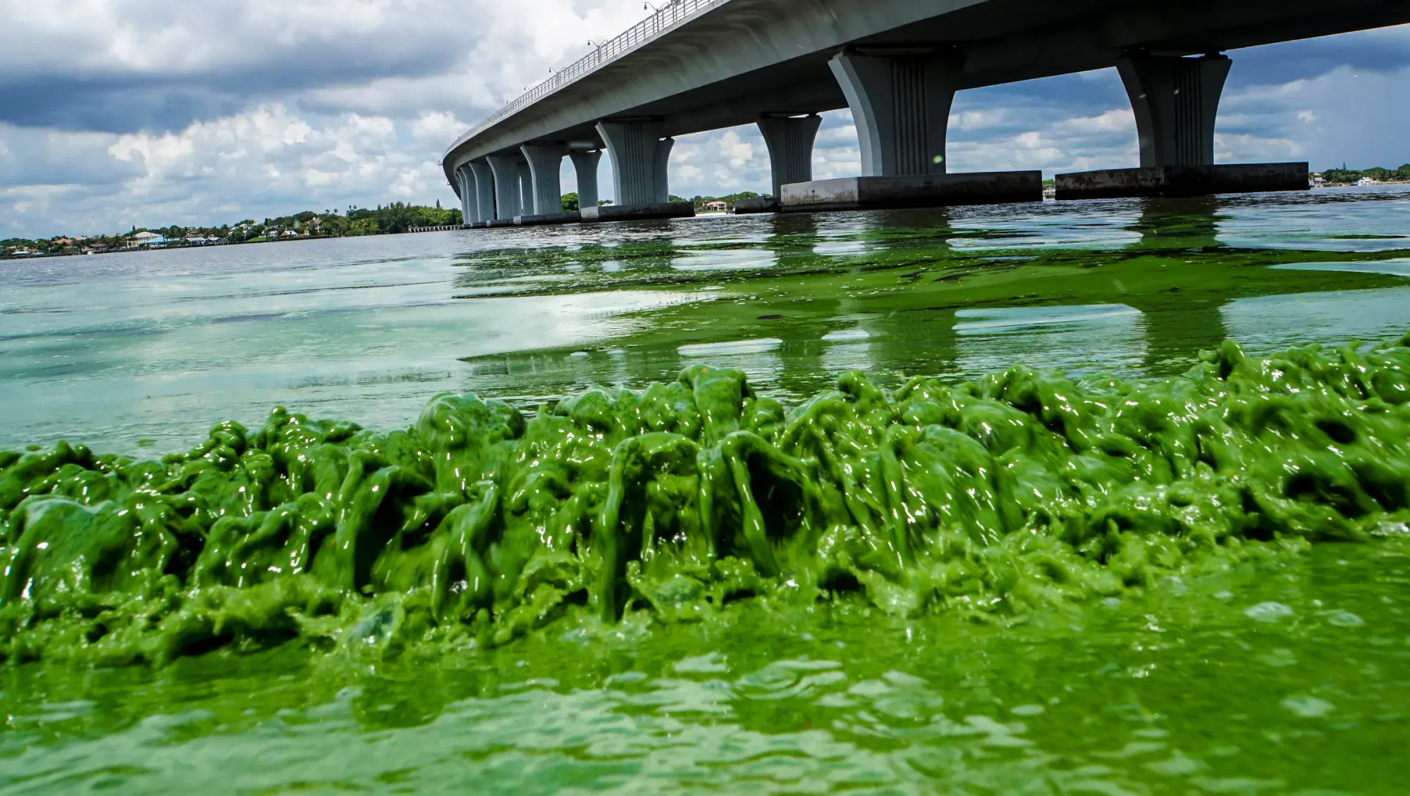 636032416784325804-AP-Lake-Okeechobee.webp