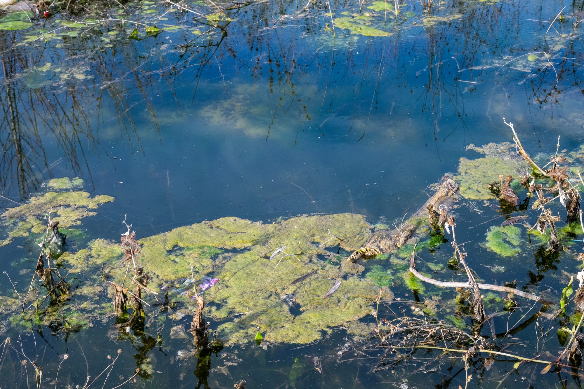 AdobeStock_1865367525.jpeg