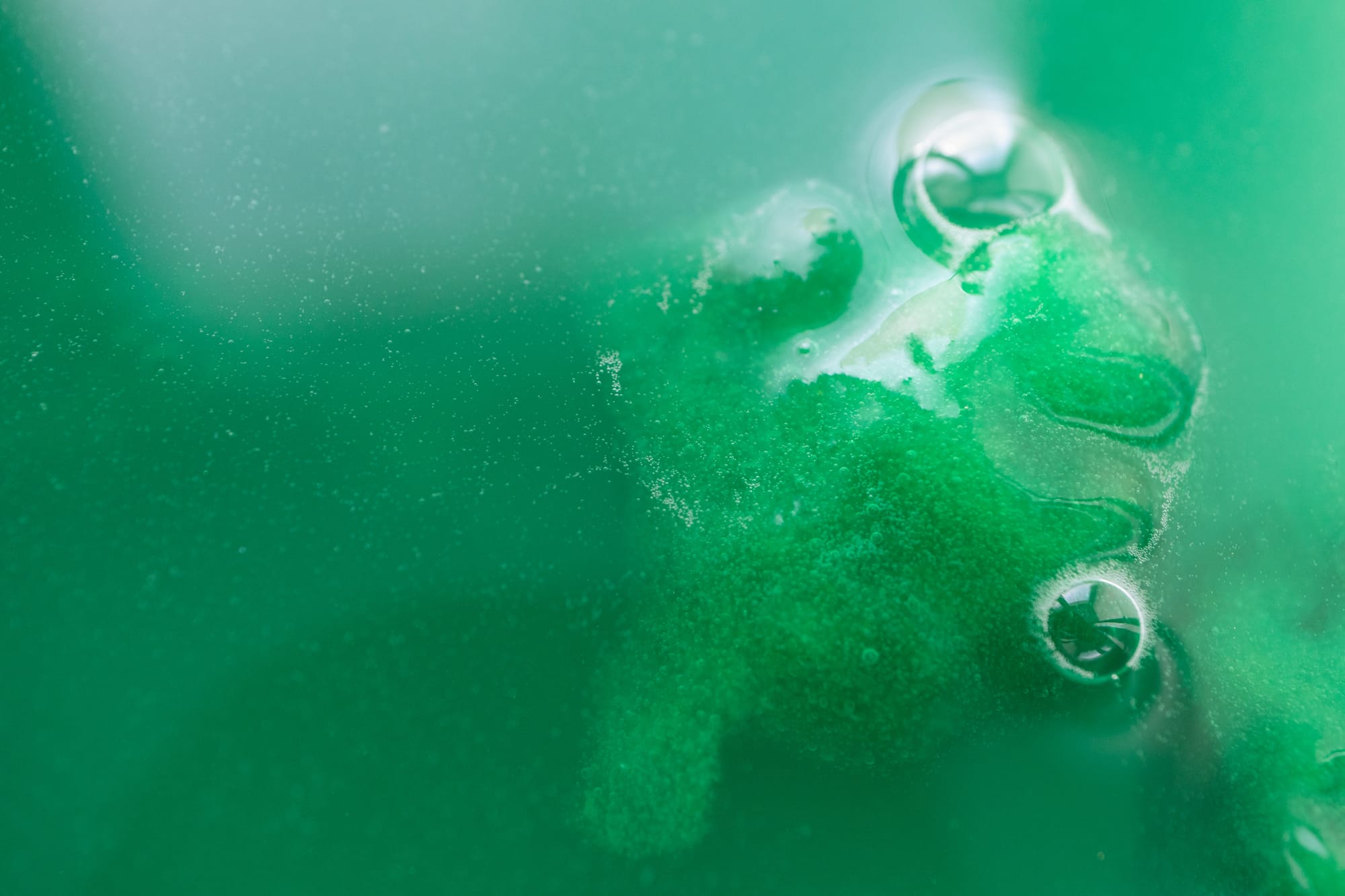 AdobeStock_302410392.jpeg