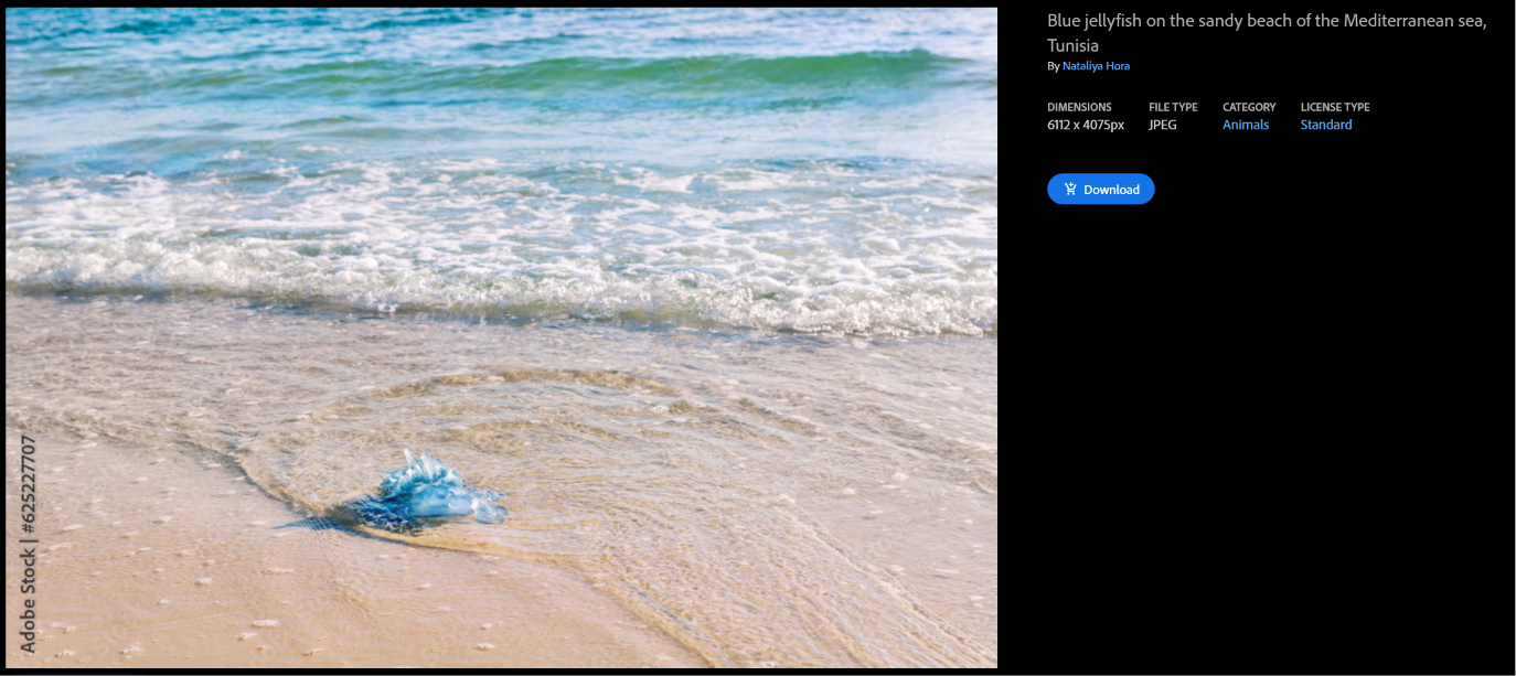 Screenshot 2026-08-07 131234.png