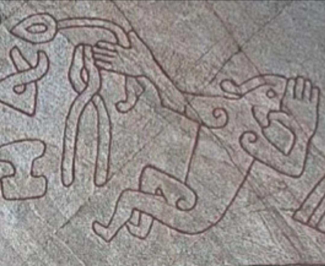 A second visual reference retained in the House of Hreiðmar treatment.